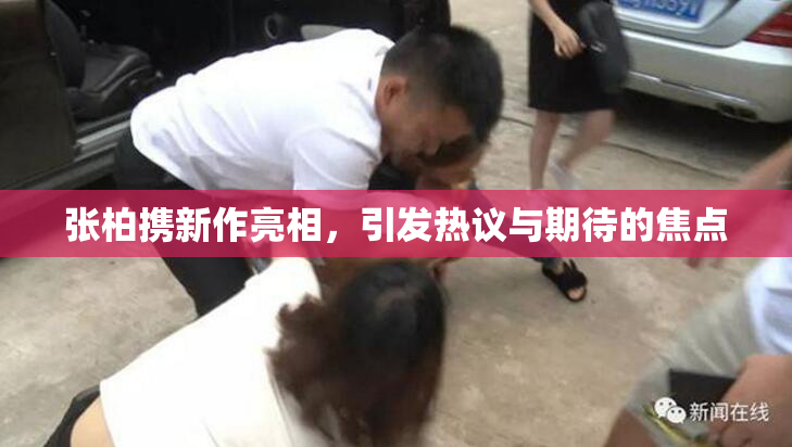 张柏携新作亮相，引发热议与期待的焦点