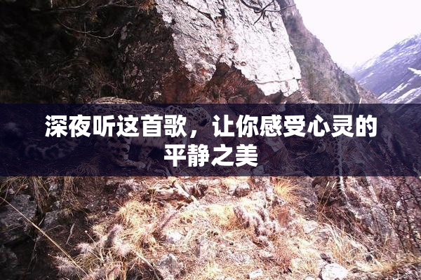 深夜听这首歌，让你感受心灵的平静之美