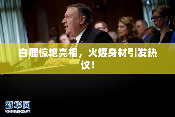 白鹿惊艳亮相，火爆身材引发热议！