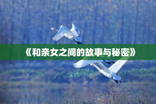 《和亲女之间的故事与秘密》