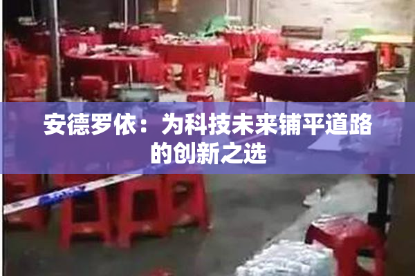 安德罗依：为科技未来铺平道路的创新之选