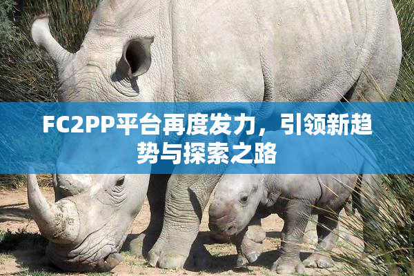 FC2PP平台再度发力，引领新趋势与探索之路