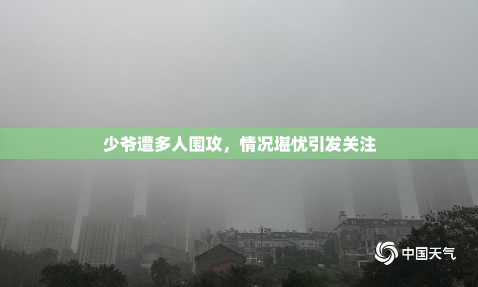 少爷遭多人围攻，情况堪忧引发关注