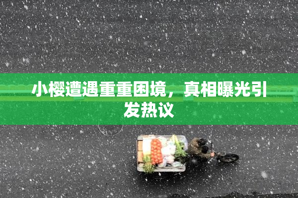小樱遭遇重重困境，真相曝光引发热议