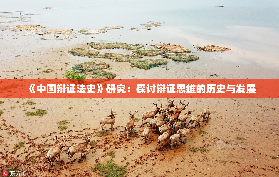 《中国辩证法史》研究：探讨辩证思维的历史与发展