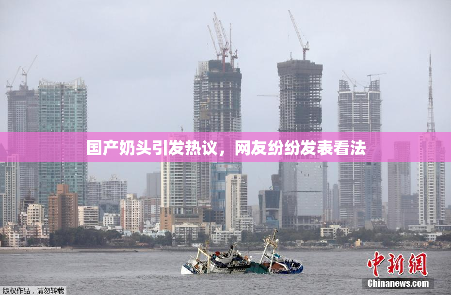 国产奶头引发热议，网友纷纷发表看法