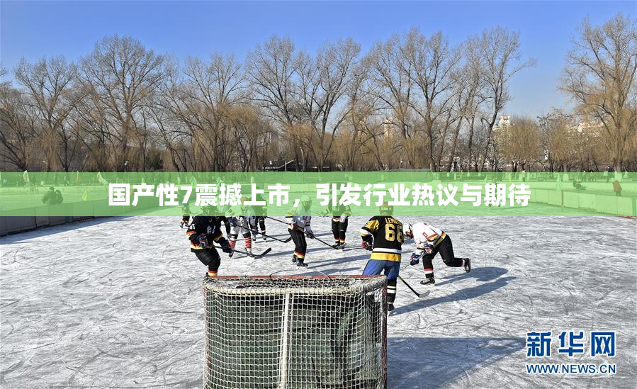 国产性7震撼上市，引发行业热议与期待