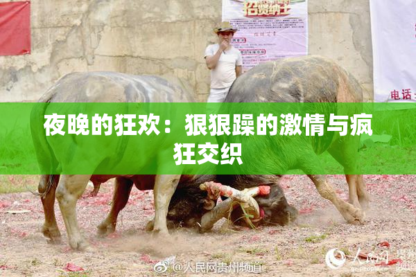 夜晚的狂欢：狠狠躁的激情与疯狂交织