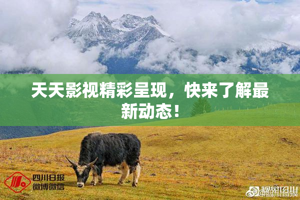 天天影视精彩呈现，快来了解最新动态！