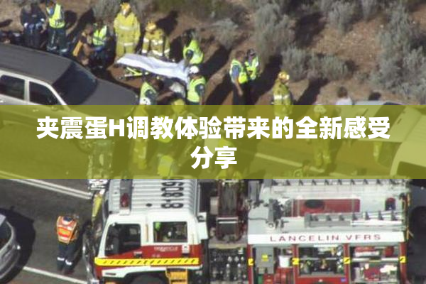 夹震蛋H调教体验带来的全新感受分享