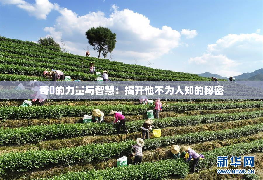 奇犽的力量与智慧：揭开他不为人知的秘密