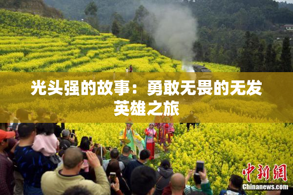 光头强的故事：勇敢无畏的无发英雄之旅