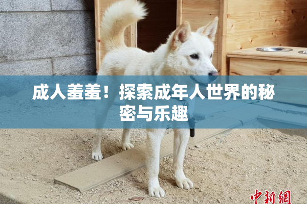 成人羞羞！探索成年人世界的秘密与乐趣