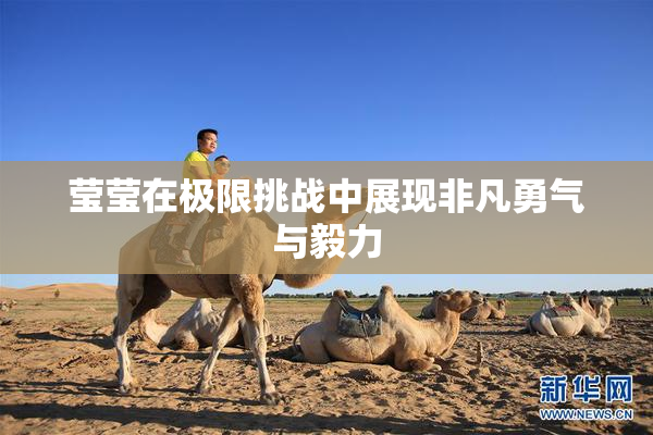 莹莹在极限挑战中展现非凡勇气与毅力