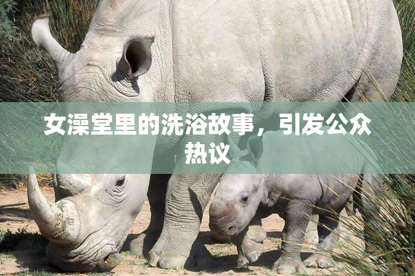 女澡堂里的洗浴故事，引发公众热议