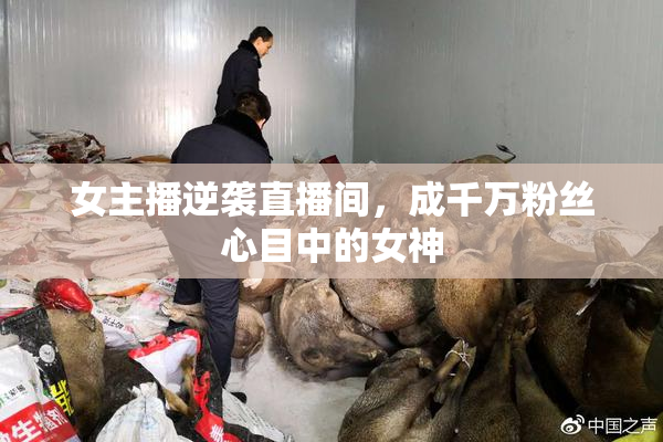 女主播逆袭直播间，成千万粉丝心目中的女神