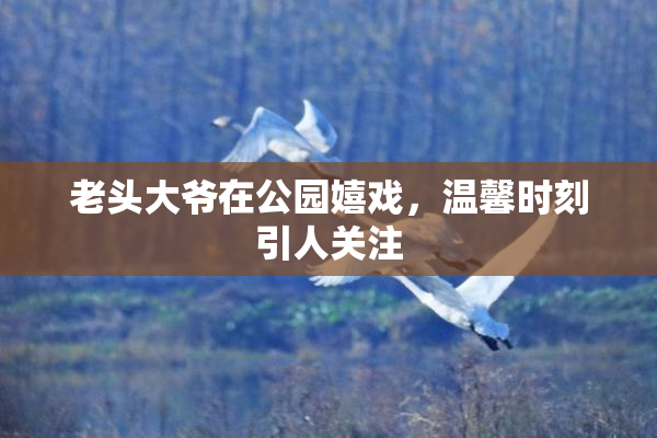 老头大爷在公园嬉戏，温馨时刻引人关注