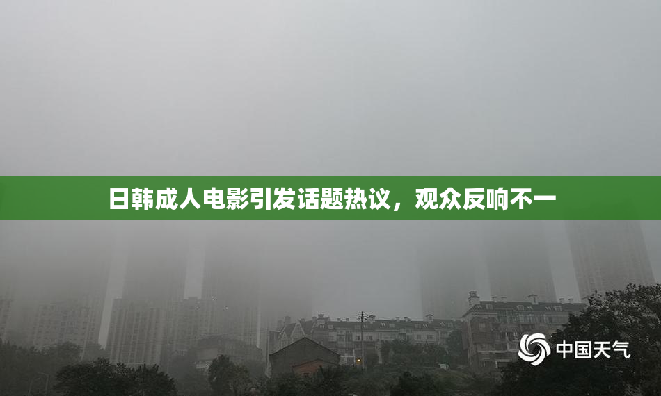 日韩成人电影引发话题热议，观众反响不一