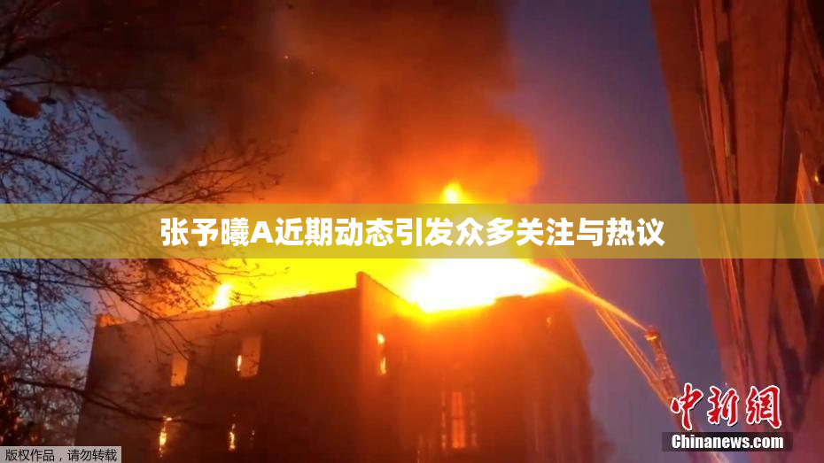 张予曦A近期动态引发众多关注与热议