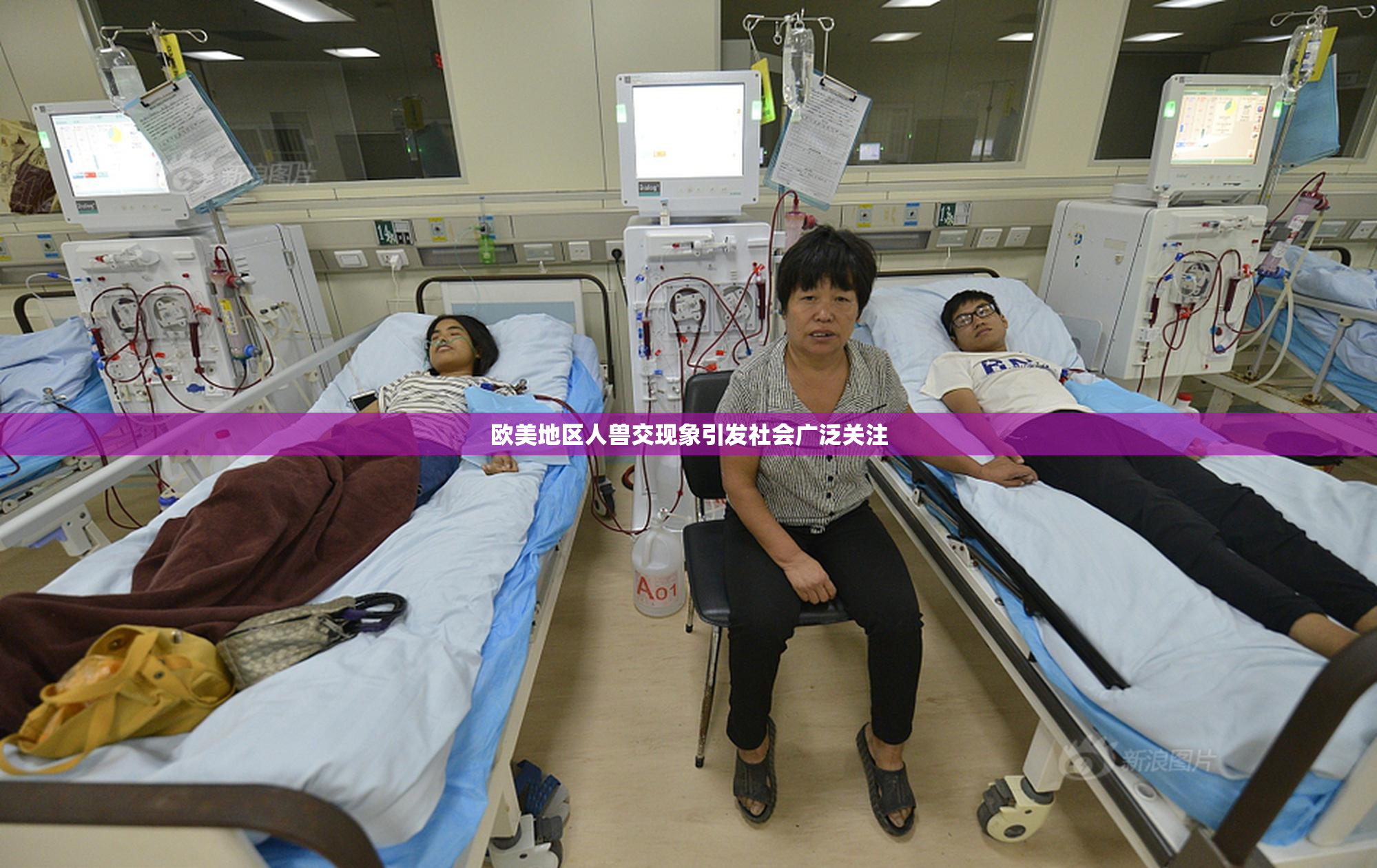 欧美地区人兽交现象引发社会广泛关注