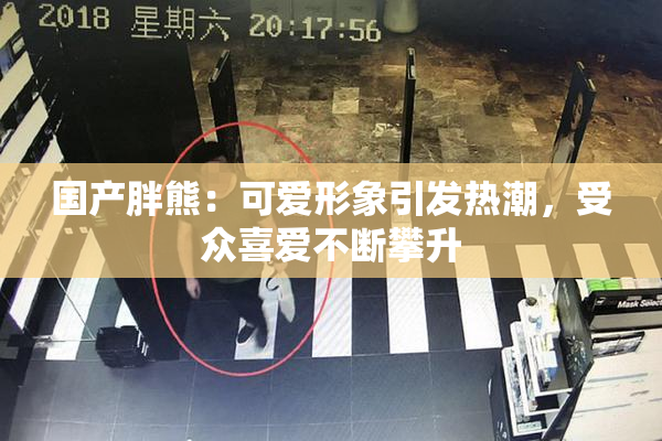 国产胖熊：可爱形象引发热潮，受众喜爱不断攀升