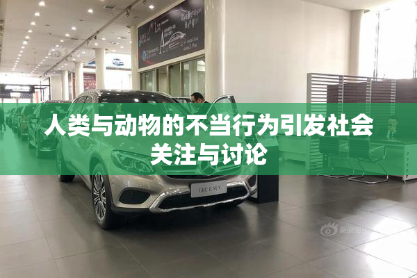 人类与动物的不当行为引发社会关注与讨论