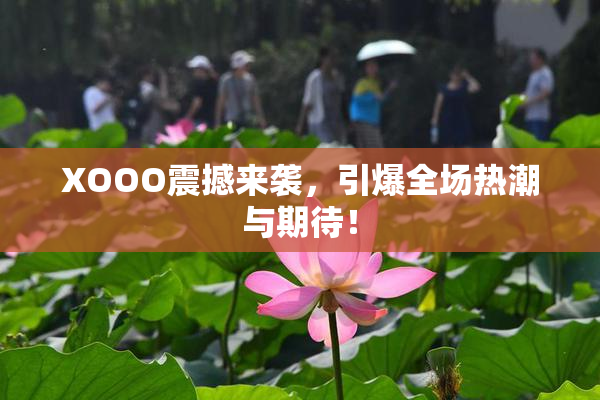 XOOO震撼来袭，引爆全场热潮与期待！