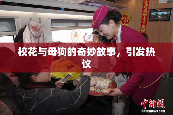 校花与母狗的奇妙故事，引发热议
