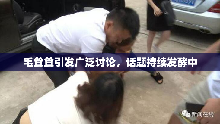 毛耸耸引发广泛讨论，话题持续发酵中