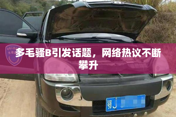 多毛骚B引发话题，网络热议不断攀升