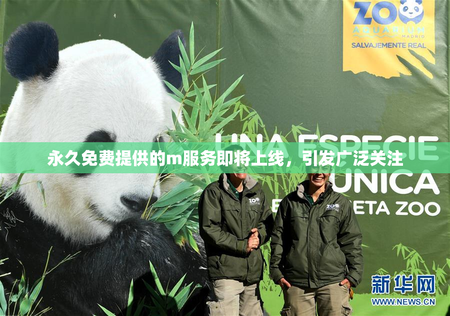 永久免费提供的m服务即将上线，引发广泛关注