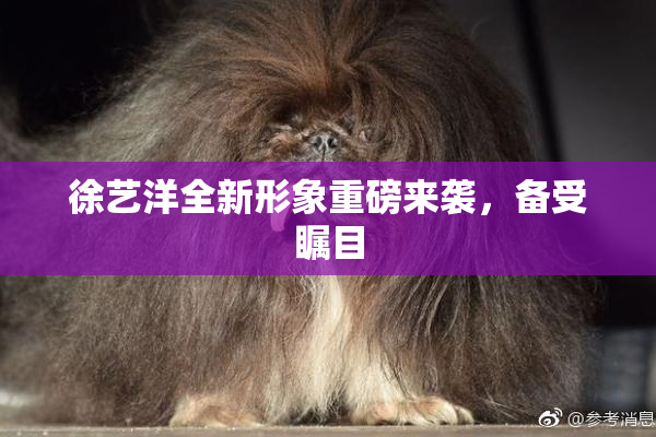 徐艺洋全新形象重磅来袭，备受瞩目