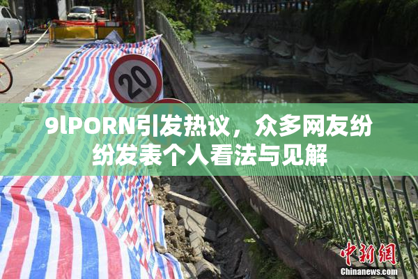 9lPORN引发热议，众多网友纷纷发表个人看法与见解
