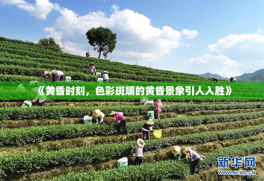 《黄昏时刻，色彩斑斓的黄昏景象引人入胜》