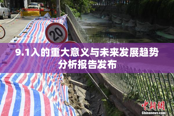 9.1入的重大意义与未来发展趋势分析报告发布