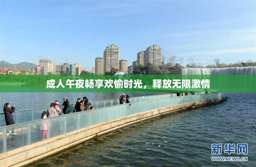 成人午夜畅享欢愉时光，释放无限激情