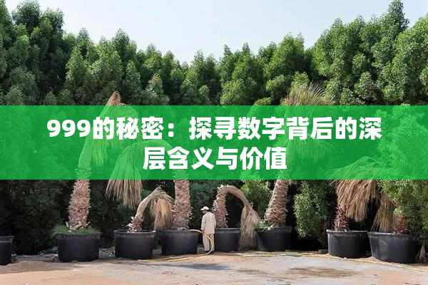 999的秘密：探寻数字背后的深层含义与价值
