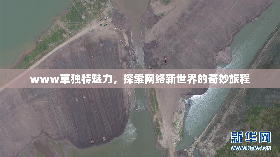 www草独特魅力，探索网络新世界的奇妙旅程