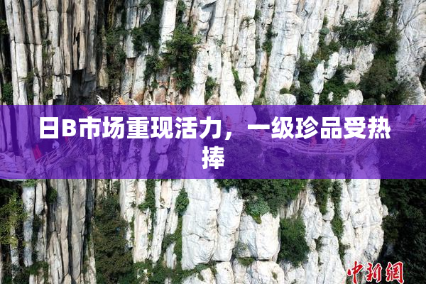 日B市场重现活力，一级珍品受热捧