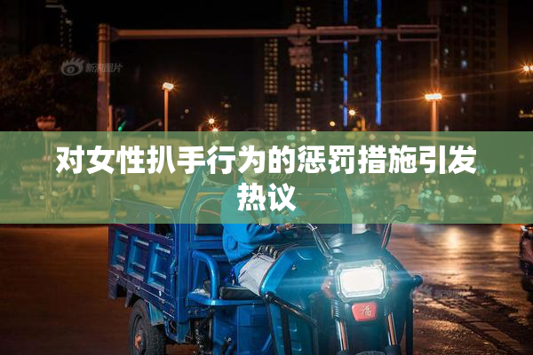 对女性扒手行为的惩罚措施引发热议