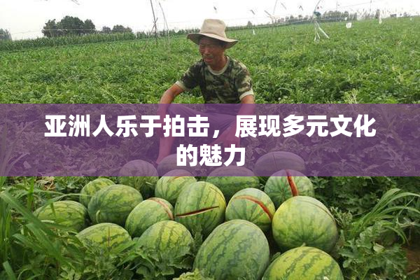 亚洲人乐于拍击，展现多元文化的魅力