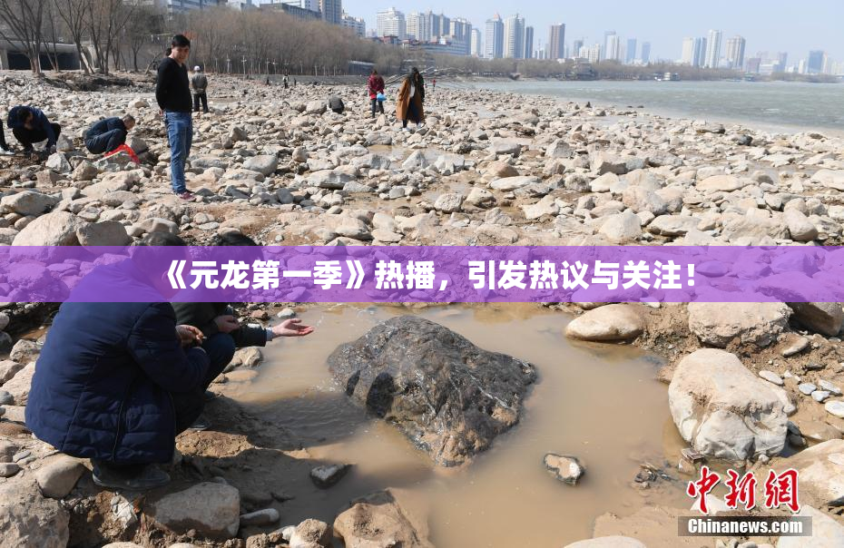 《元龙第一季》热播，引发热议与关注！