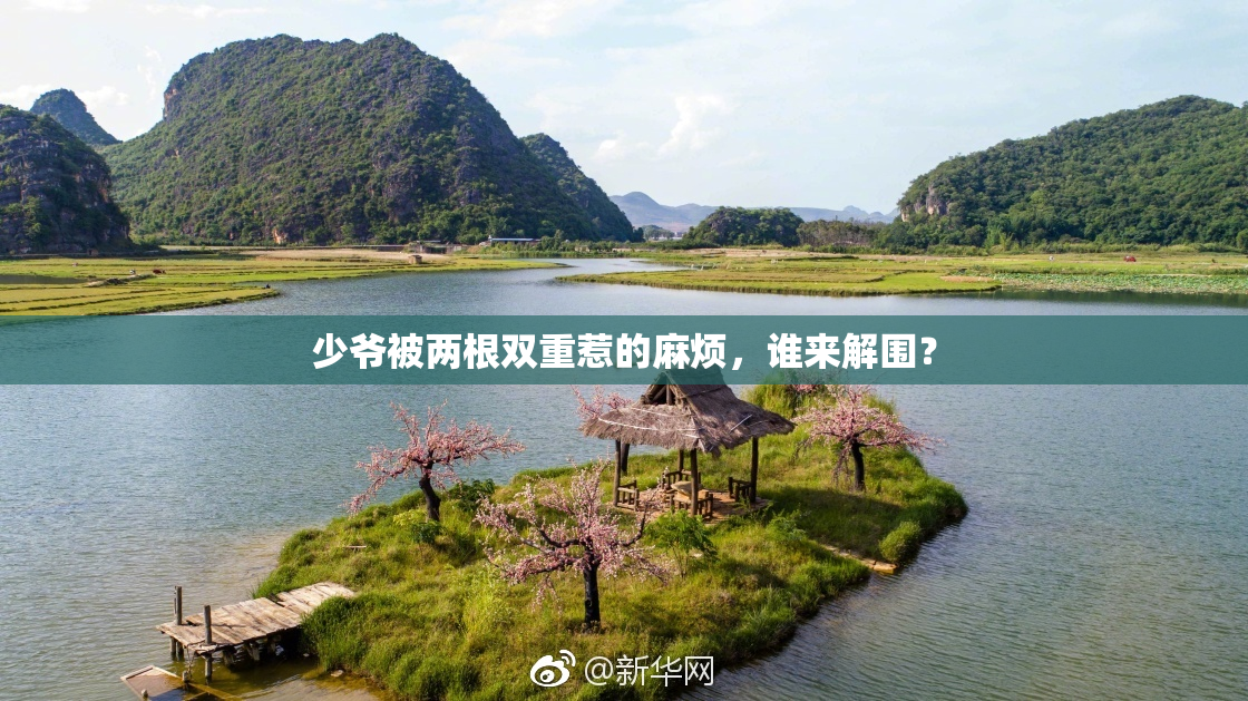 少爷被两根双重惹的麻烦，谁来解围？