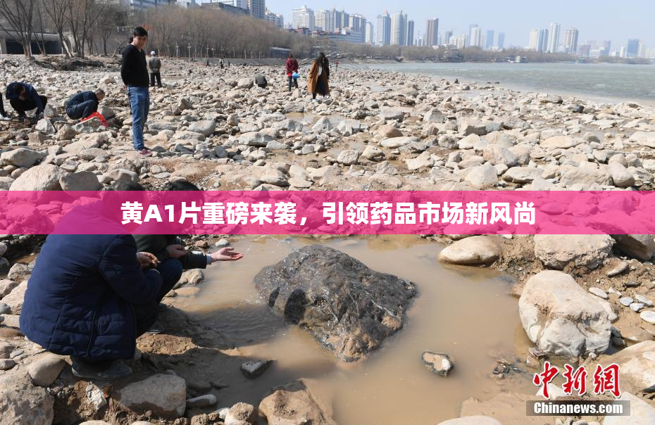 黄A1片重磅来袭，引领药品市场新风尚