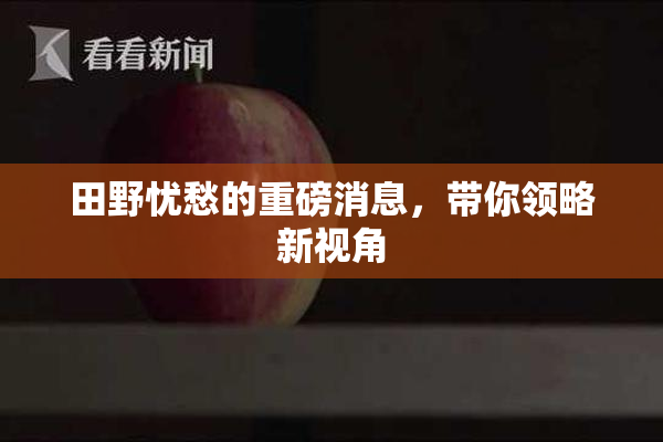田野忧愁的重磅消息，带你领略新视角