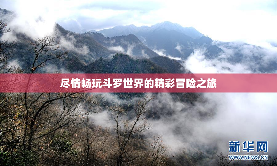 尽情畅玩斗罗世界的精彩冒险之旅