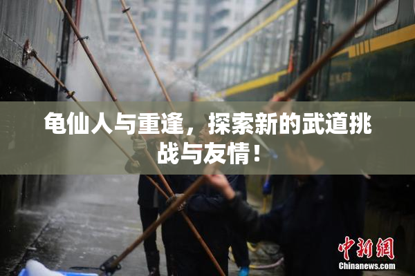 龟仙人与重逢，探索新的武道挑战与友情！