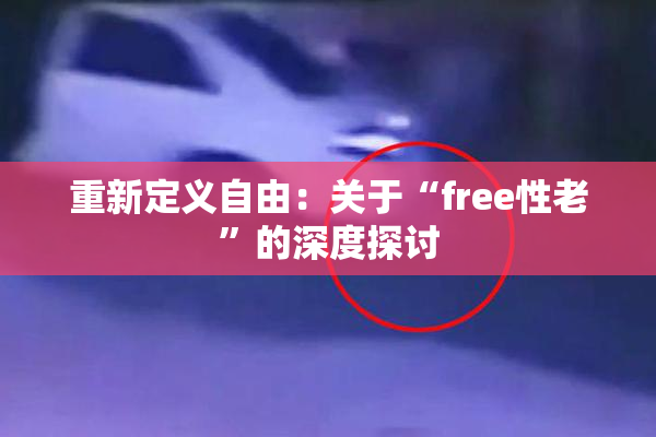 重新定义自由：关于“free性老”的深度探讨