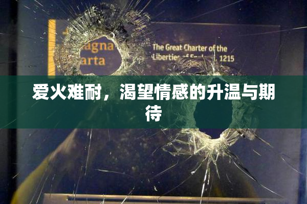 爱火难耐，渴望情感的升温与期待