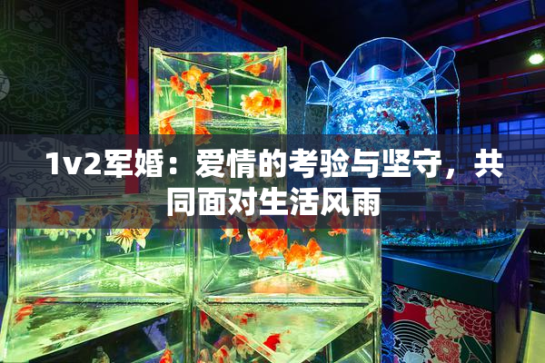 1v2军婚：爱情的考验与坚守，共同面对生活风雨